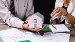 Impact of Government Policies